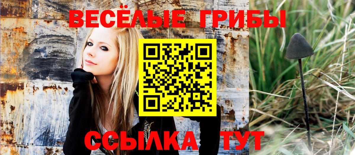 Галлюциногенные грибы GOLDEN TEACHER Кувандык