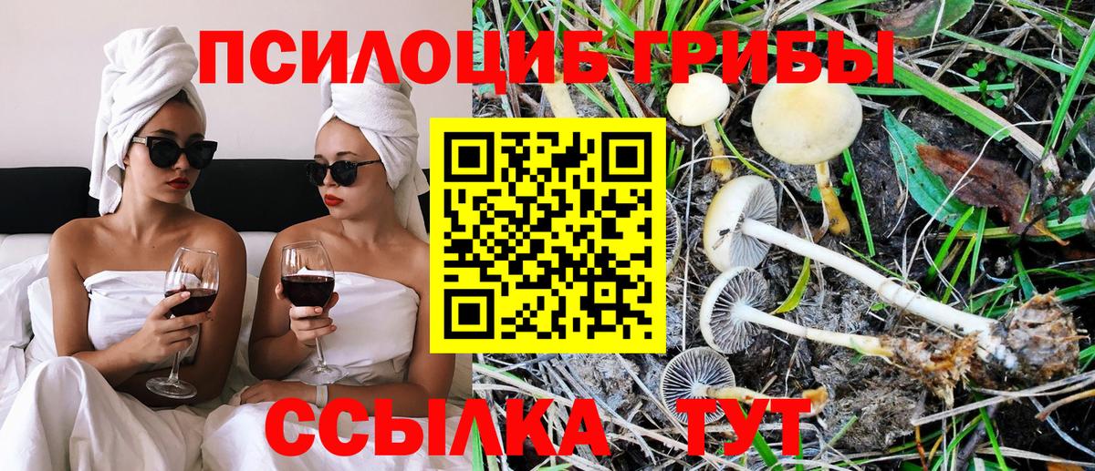 Псилоцибиновые грибы Psilocybine cubensis  Вход с VPN  Кувандык  Псилоцибиновые грибы мухоморы 